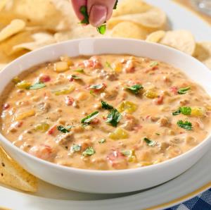 Creamy Rotel Dip